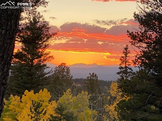 610 Cochetopa Road Florissant CO 80816