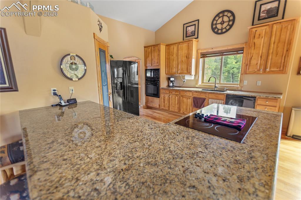 610 Cochetopa Road Florissant CO 80816