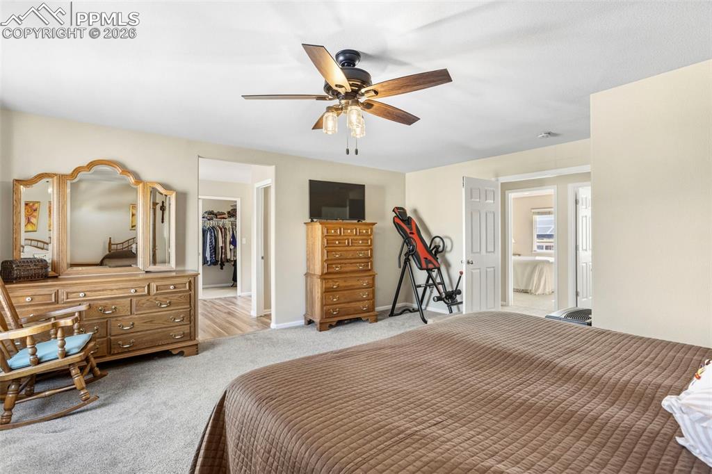 7783 Autumn Leaf Way Colorado Springs CO 80922