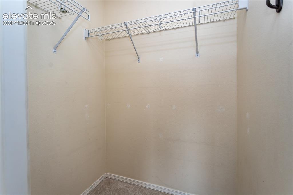 8374 Ravenel Drive Colorado Springs CO 80920