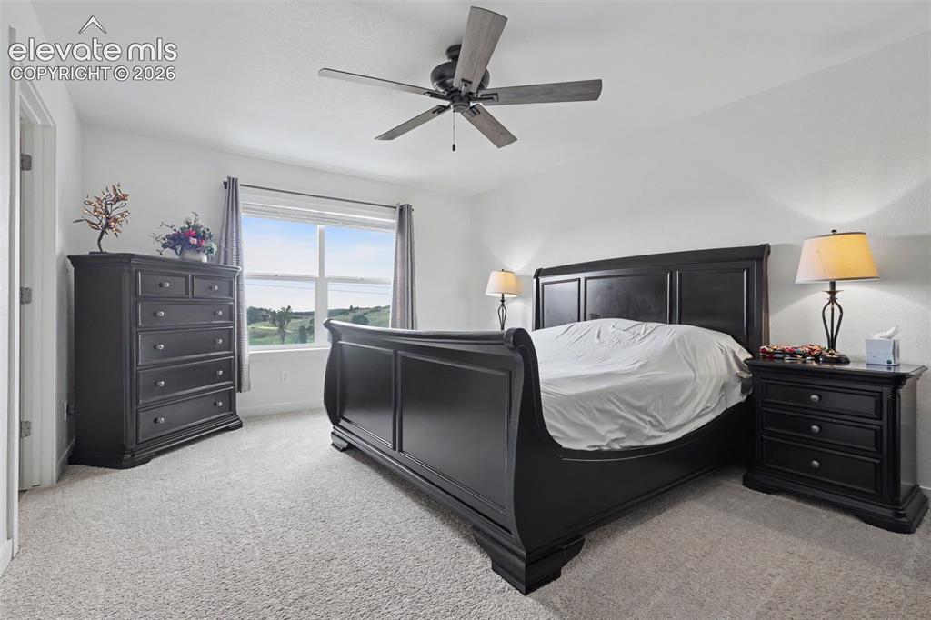 2225 Teachout Creek Court Monument CO 80132