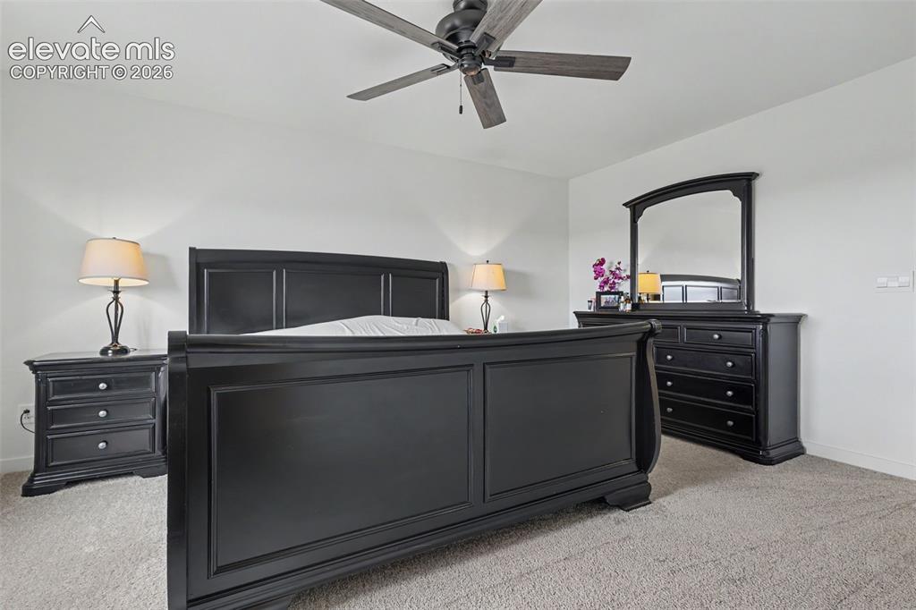 2225 Teachout Creek Court Monument CO 80132