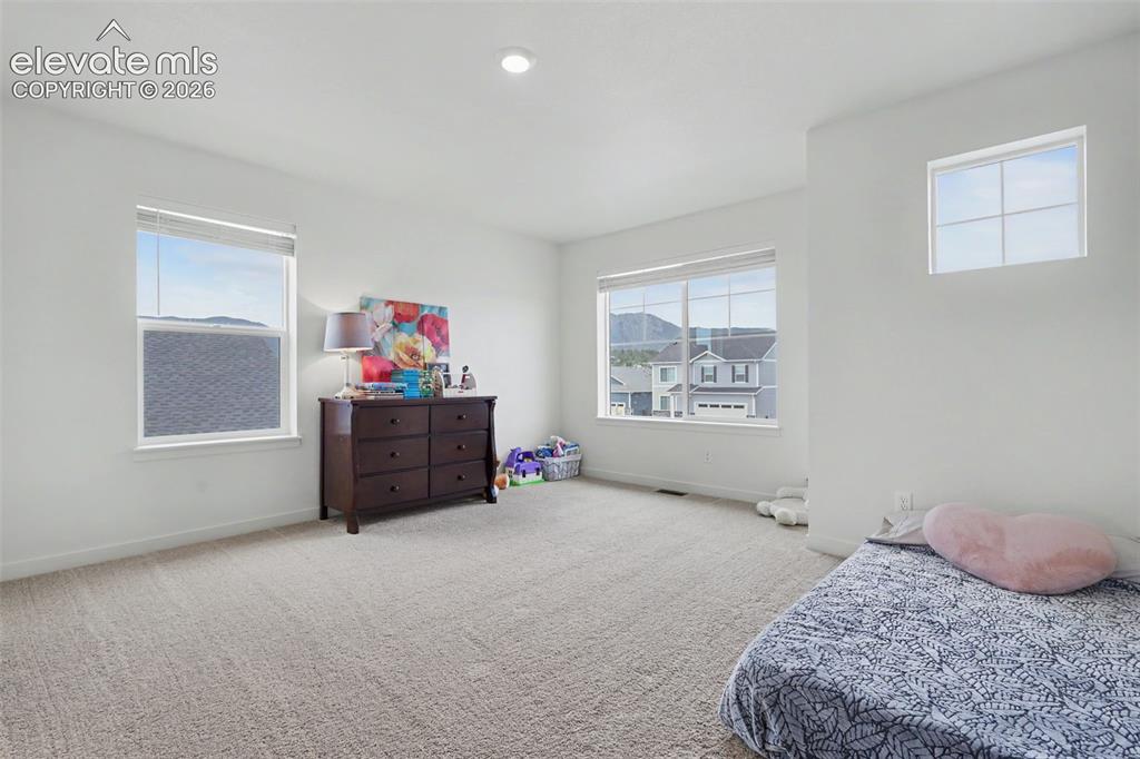 2225 Teachout Creek Court Monument CO 80132