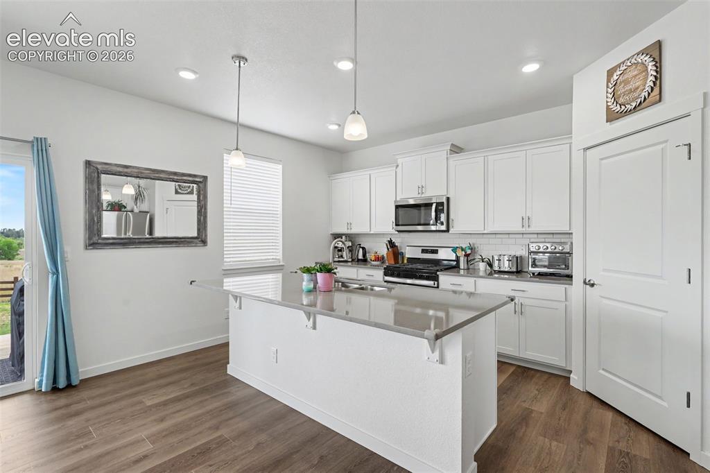 2225 Teachout Creek Court Monument CO 80132