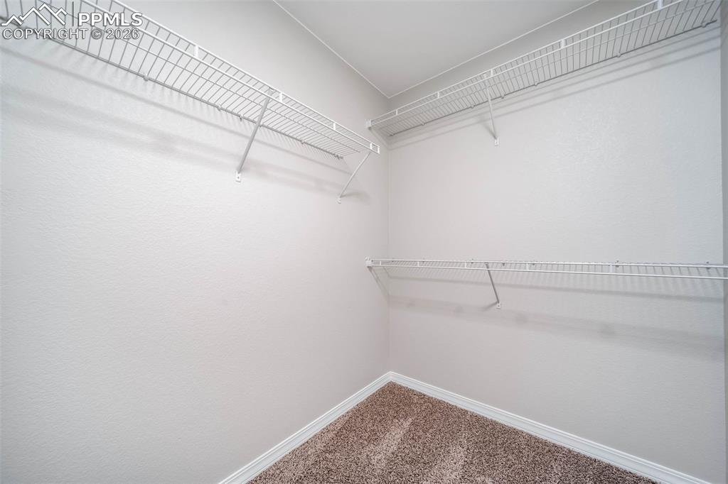 9574 Desert Lily Circle Colorado Springs CO 80925