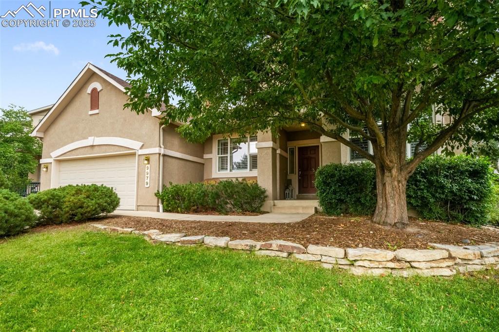 9979 Rose Leaf Court Colorado Springs CO 80920