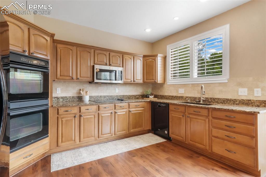 9979 Rose Leaf Court Colorado Springs CO 80920