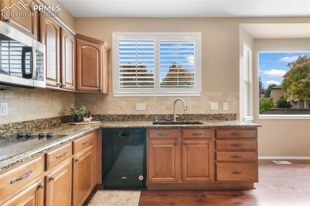 9979 Rose Leaf Court Colorado Springs CO 80920