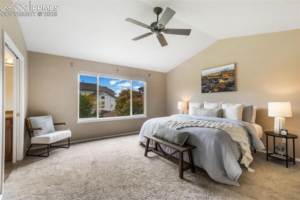 9979 Rose Leaf Court Colorado Springs CO 80920