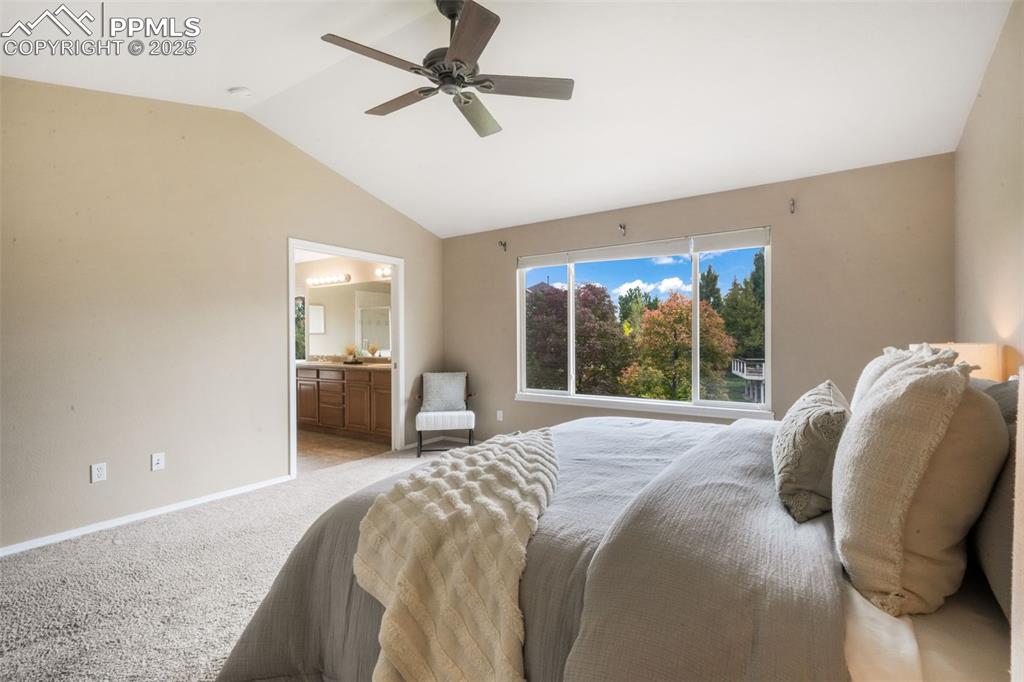 9979 Rose Leaf Court Colorado Springs CO 80920