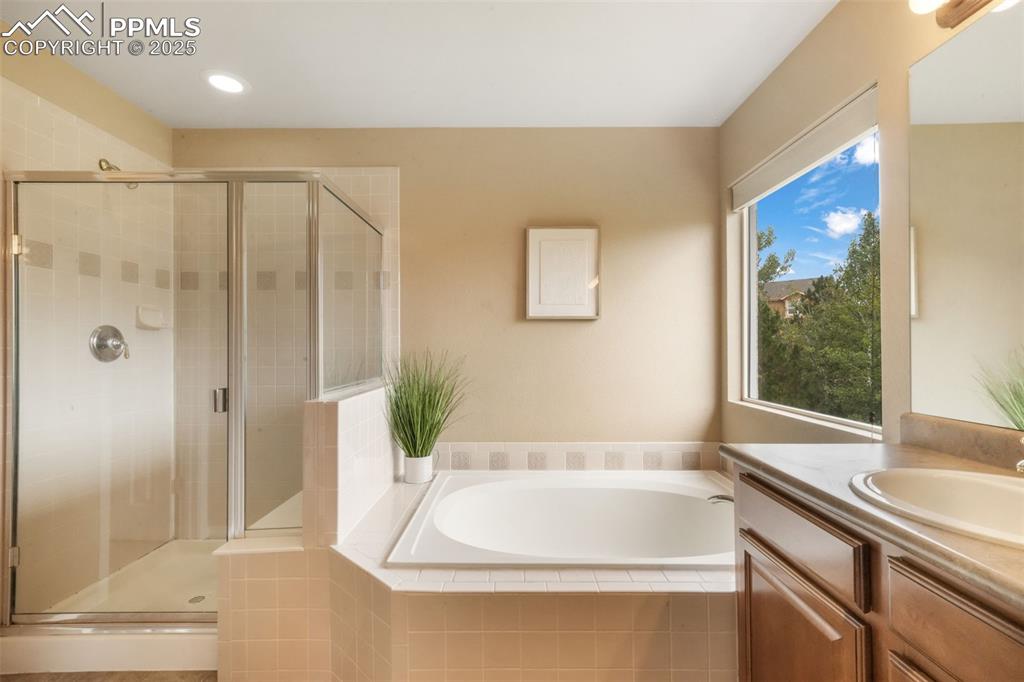 9979 Rose Leaf Court Colorado Springs CO 80920