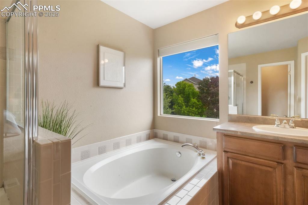 9979 Rose Leaf Court Colorado Springs CO 80920