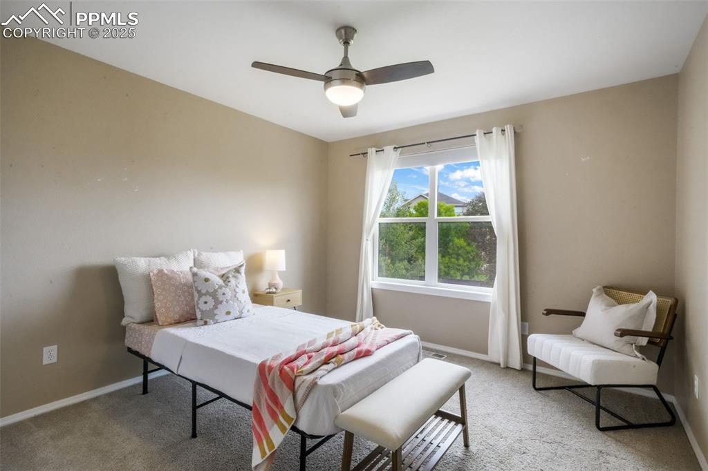 9979 Rose Leaf Court Colorado Springs CO 80920