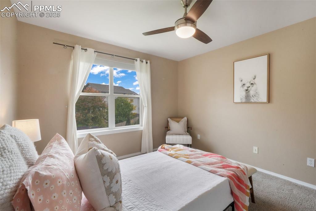 9979 Rose Leaf Court Colorado Springs CO 80920