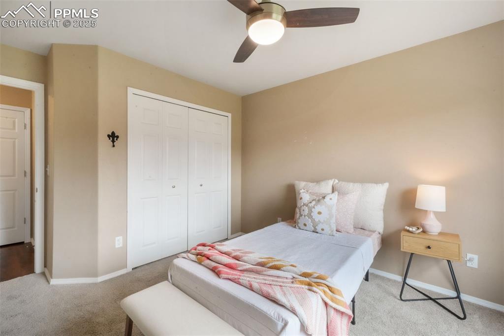 9979 Rose Leaf Court Colorado Springs CO 80920