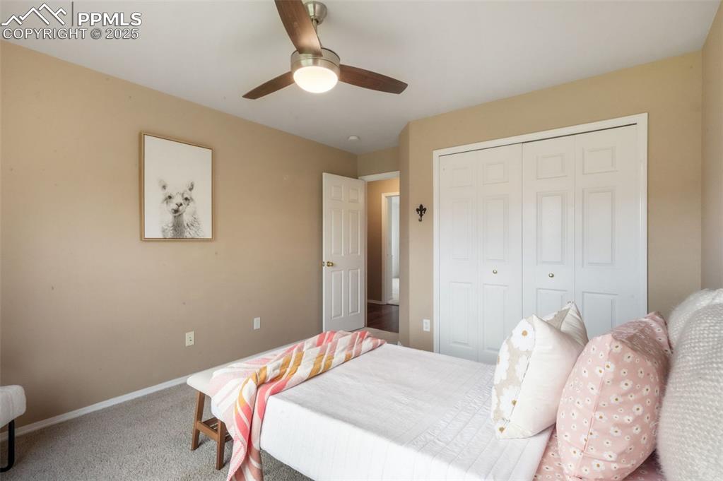 9979 Rose Leaf Court Colorado Springs CO 80920