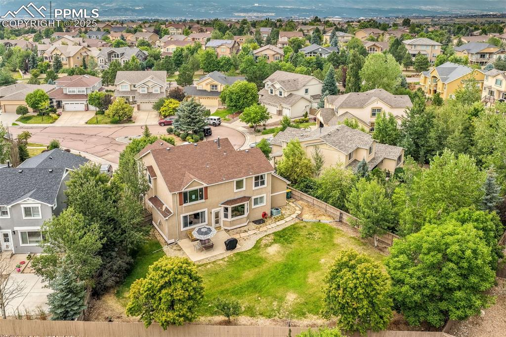 9979 Rose Leaf Court Colorado Springs CO 80920