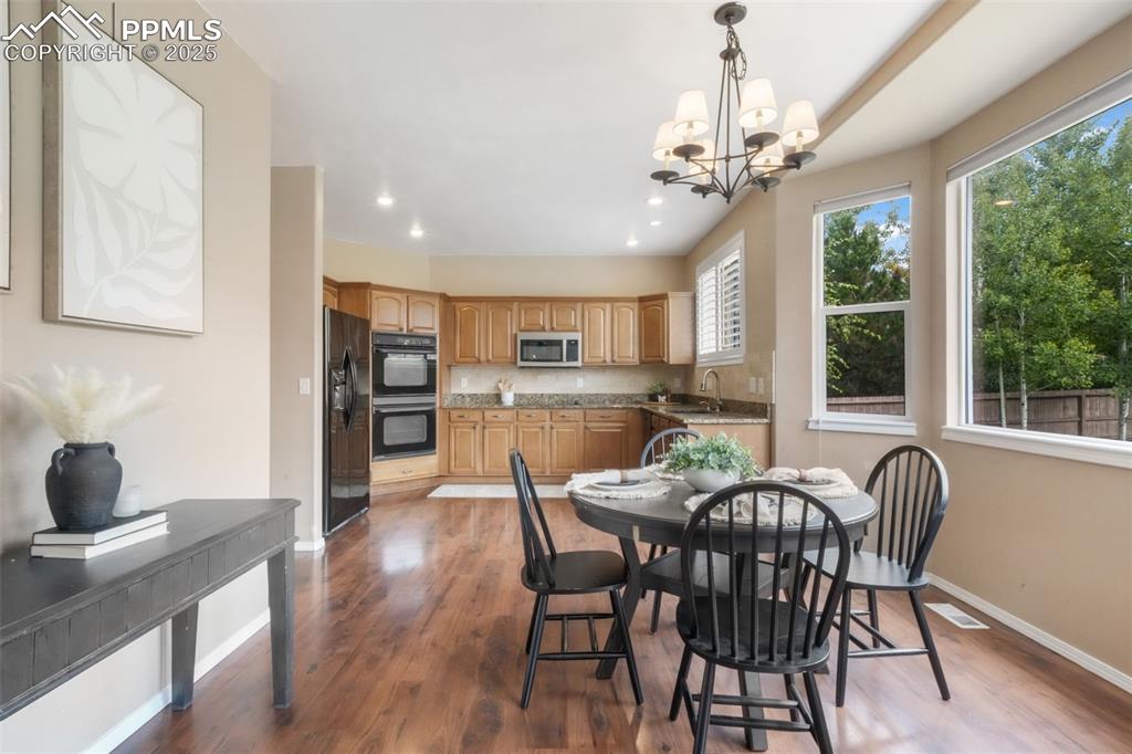 9979 Rose Leaf Court Colorado Springs CO 80920