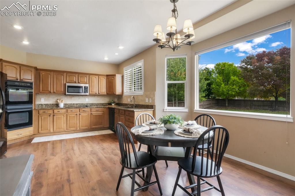 9979 Rose Leaf Court Colorado Springs CO 80920