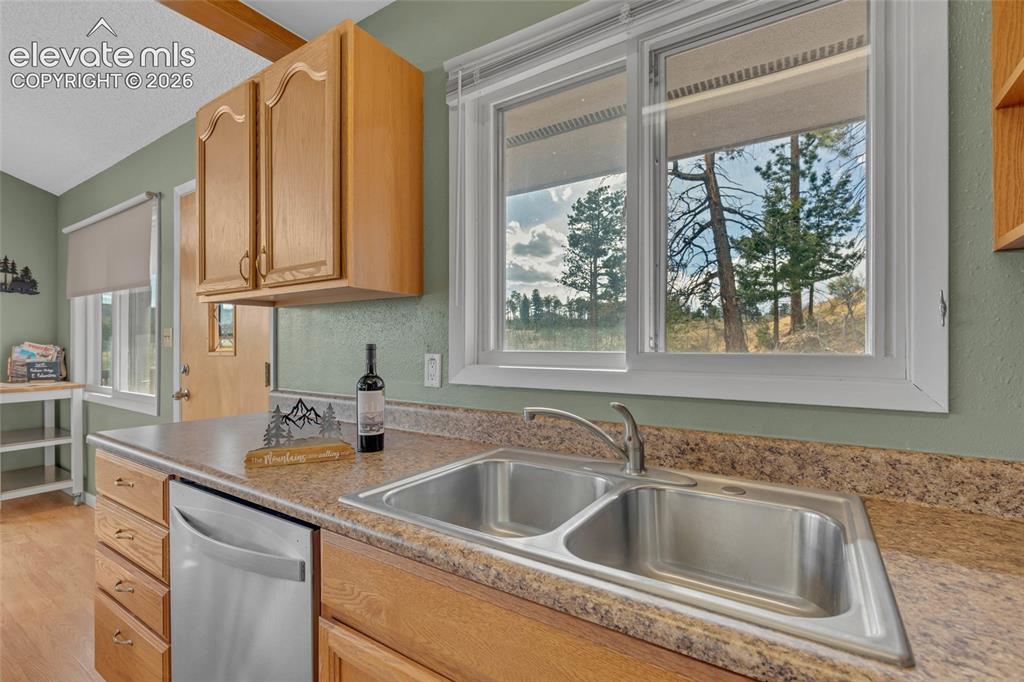 81 Hedges Circle Woodland Park CO 80863