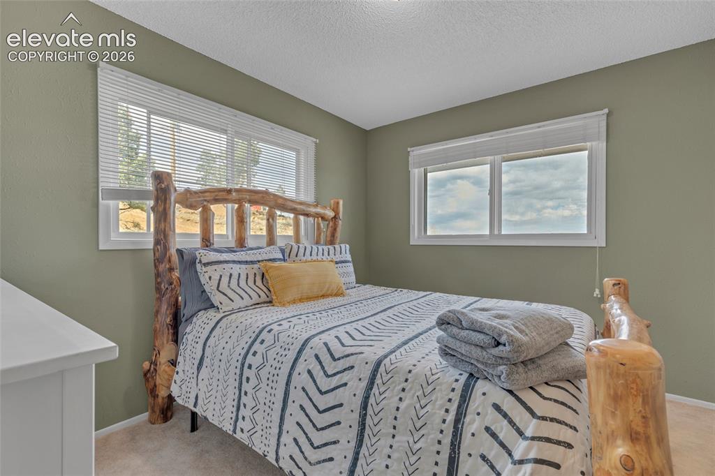 81 Hedges Circle Woodland Park CO 80863