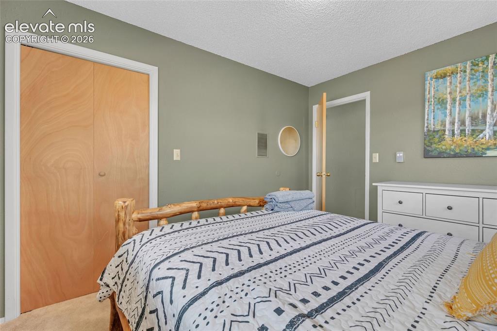 81 Hedges Circle Woodland Park CO 80863