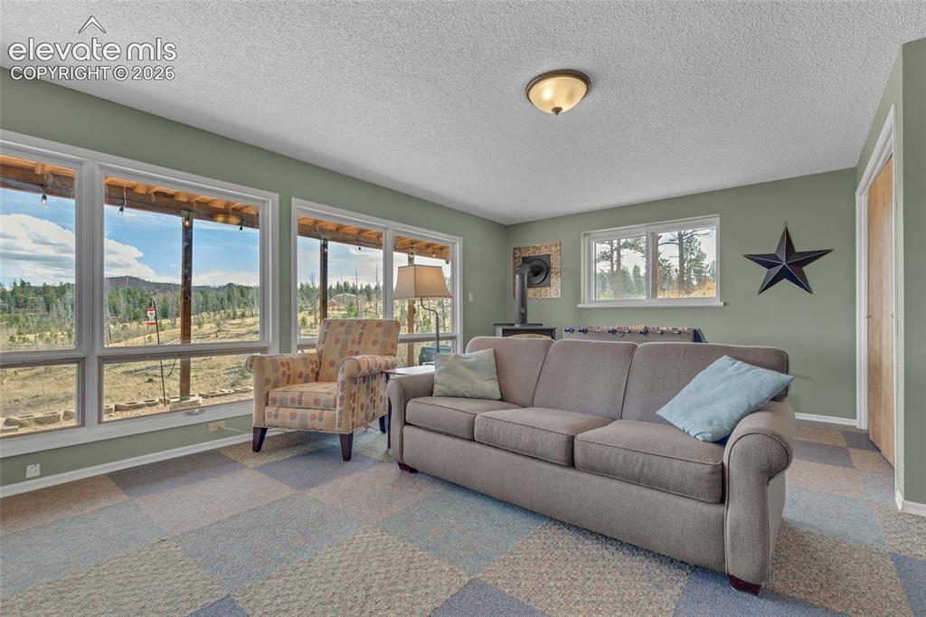 81 Hedges Circle Woodland Park CO 80863