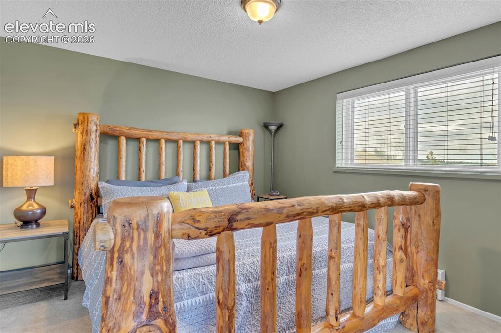 81 Hedges Circle Woodland Park CO 80863