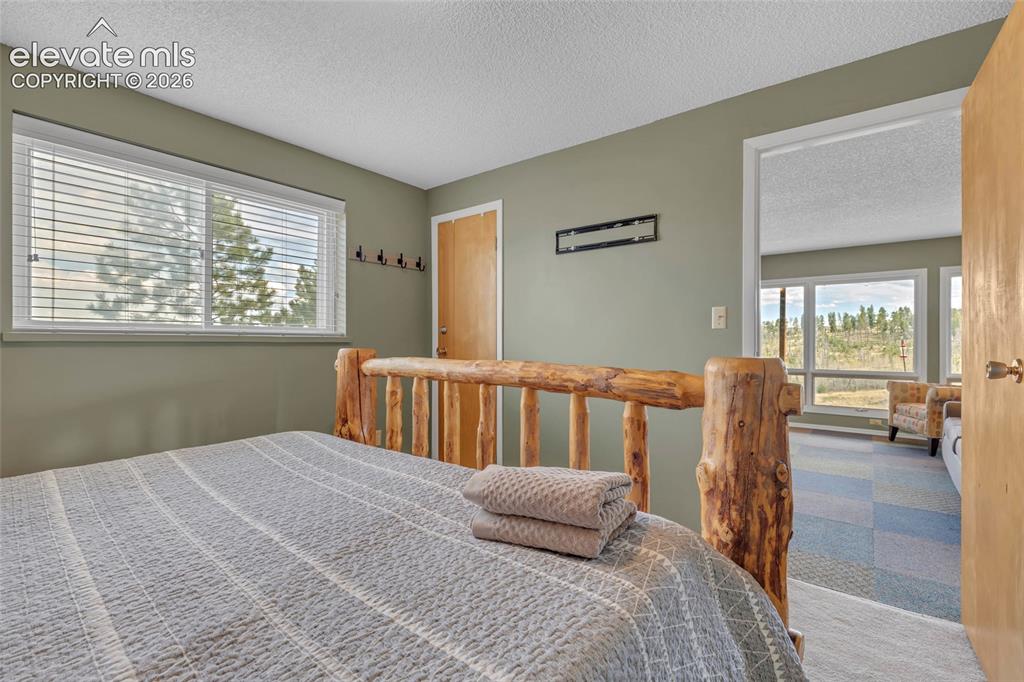 81 Hedges Circle Woodland Park CO 80863