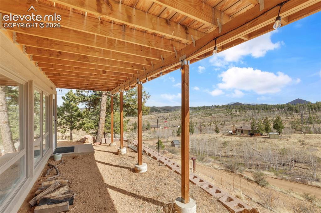 81 Hedges Circle Woodland Park CO 80863