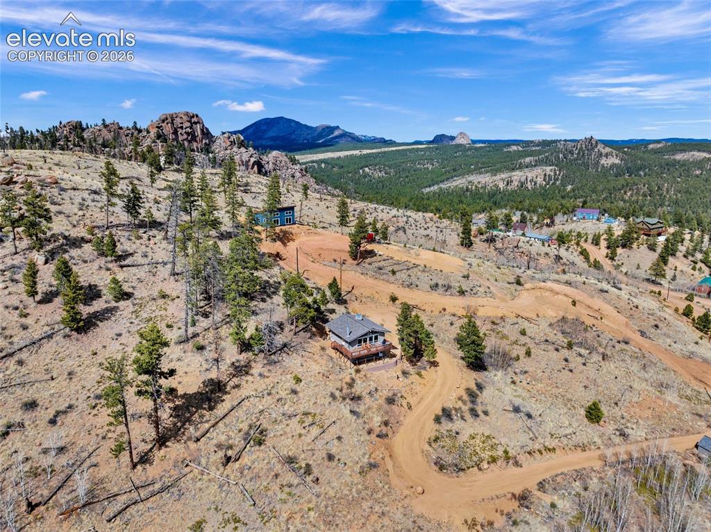 81 Hedges Circle Woodland Park CO 80863