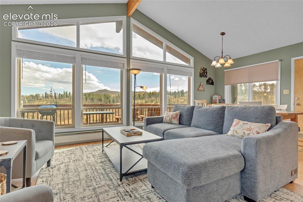 81 Hedges Circle Woodland Park CO 80863