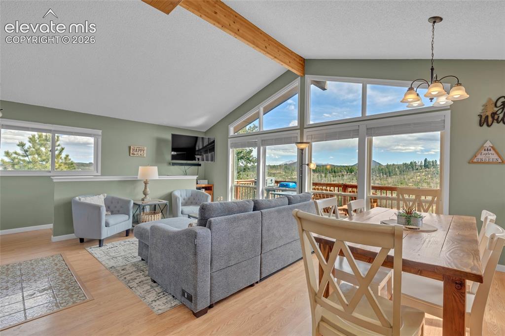 81 Hedges Circle Woodland Park CO 80863