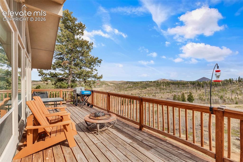 81 Hedges Circle Woodland Park CO 80863