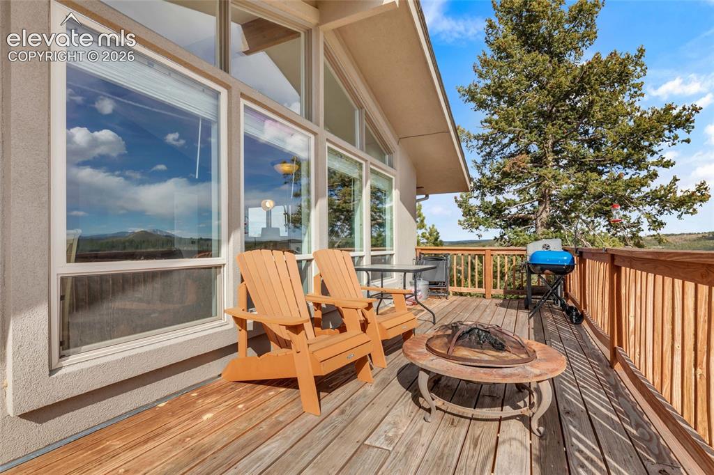 81 Hedges Circle Woodland Park CO 80863