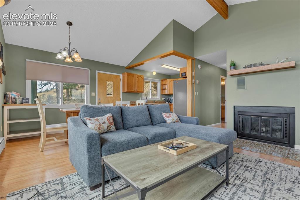 81 Hedges Circle Woodland Park CO 80863