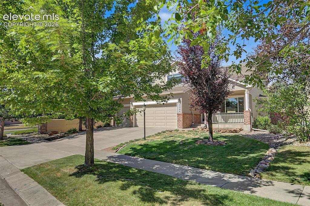 3355 Sand Flower Drive Colorado Springs CO 80920