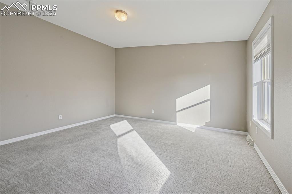 7711 Grizzly Bear Point Colorado Springs CO 80922