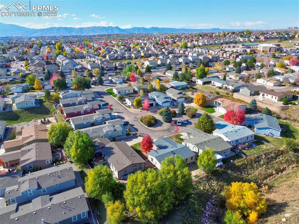 7711 Grizzly Bear Point Colorado Springs CO 80922