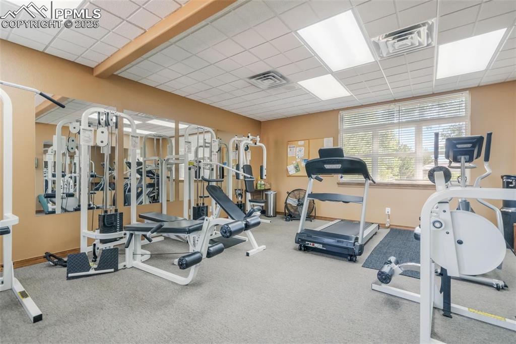 7711 Grizzly Bear Point Colorado Springs CO 80922