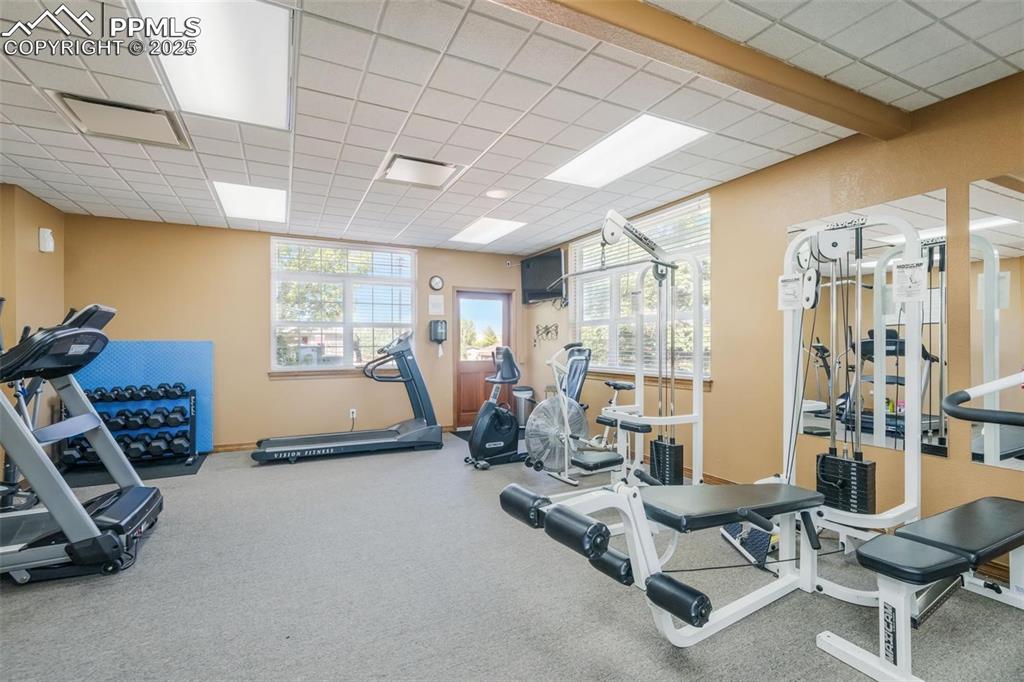 7711 Grizzly Bear Point Colorado Springs CO 80922