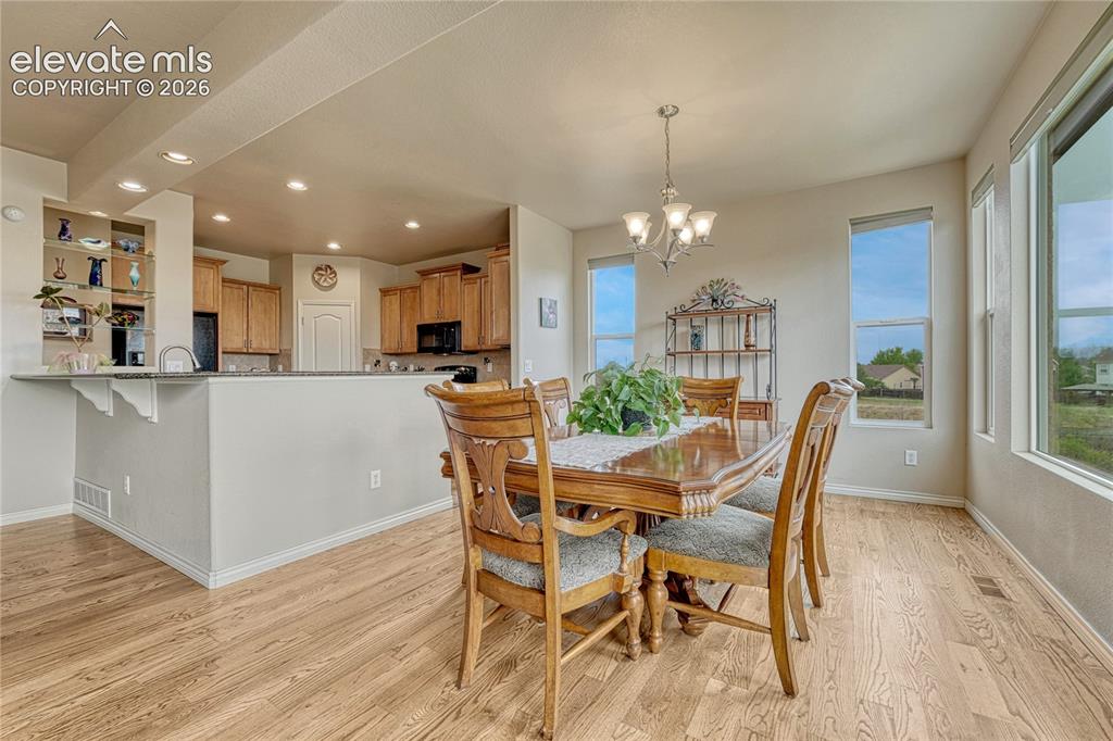 7104 Midnight Rose Drive Colorado Springs CO 80923
