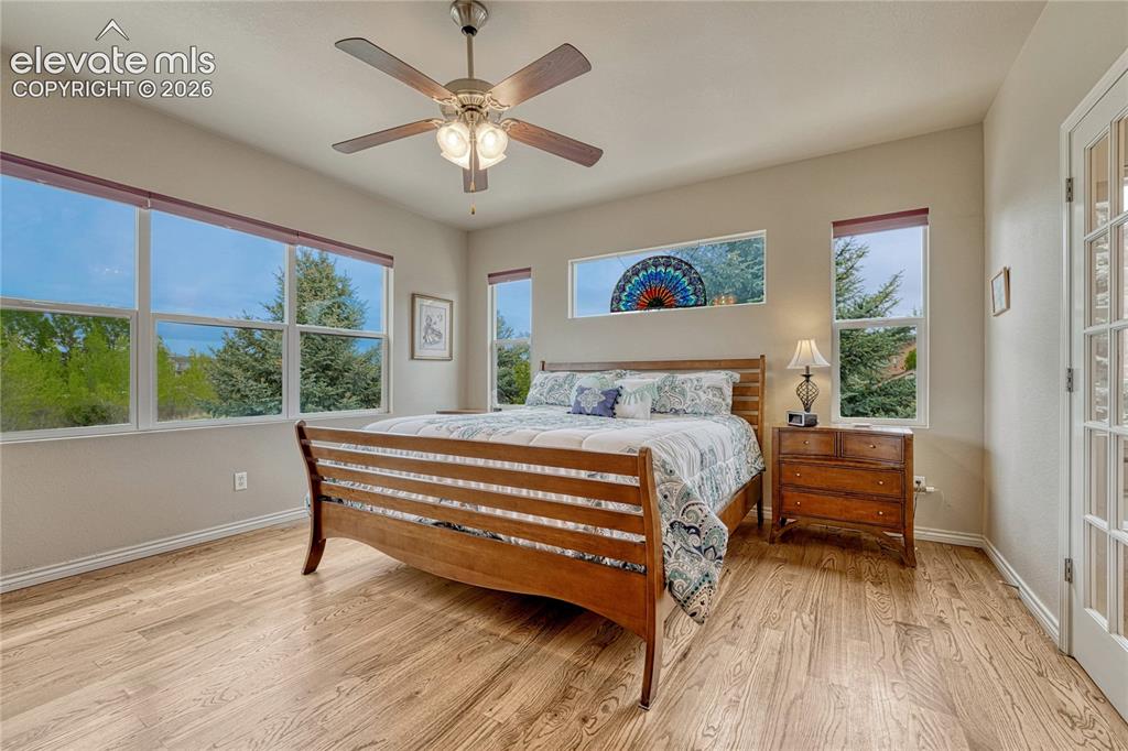7104 Midnight Rose Drive Colorado Springs CO 80923