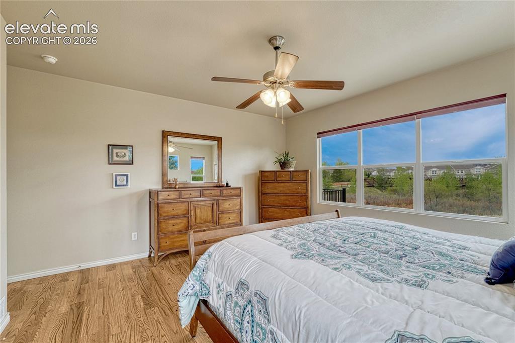 7104 Midnight Rose Drive Colorado Springs CO 80923