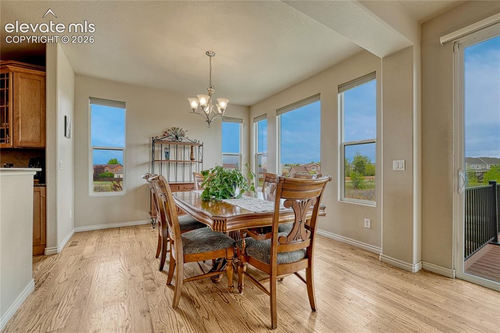 7104 Midnight Rose Drive Colorado Springs CO 80923