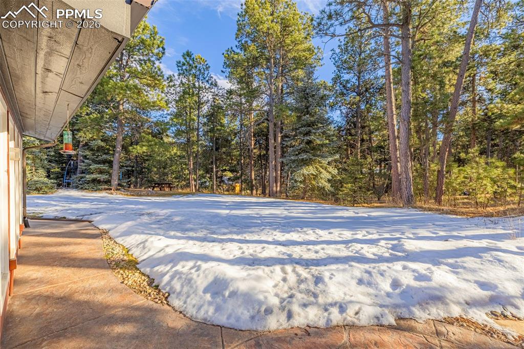 8855 Aspen Hills Court Colorado Springs CO 80908