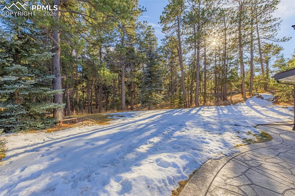 8855 Aspen Hills Court Colorado Springs CO 80908