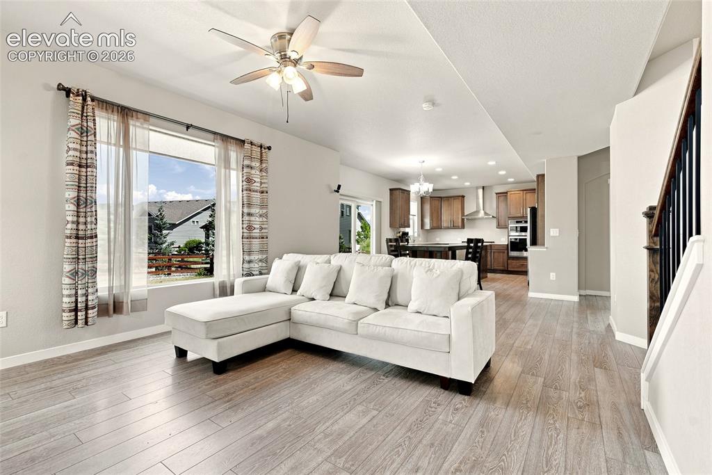 2382 Pelican Bay Drive Monument CO 80132