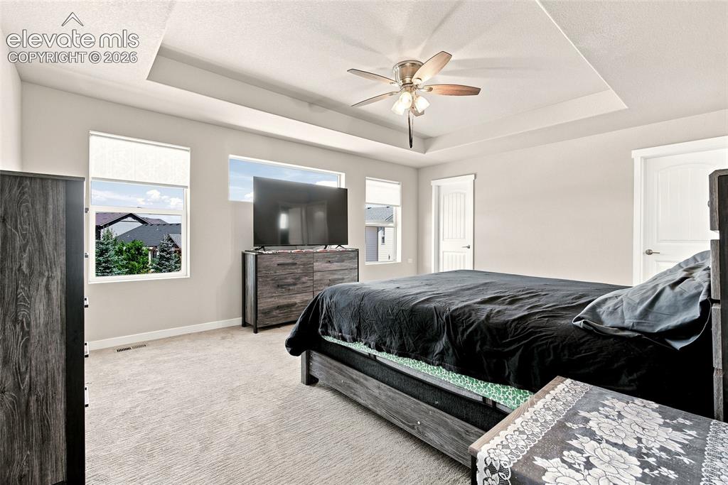2382 Pelican Bay Drive Monument CO 80132