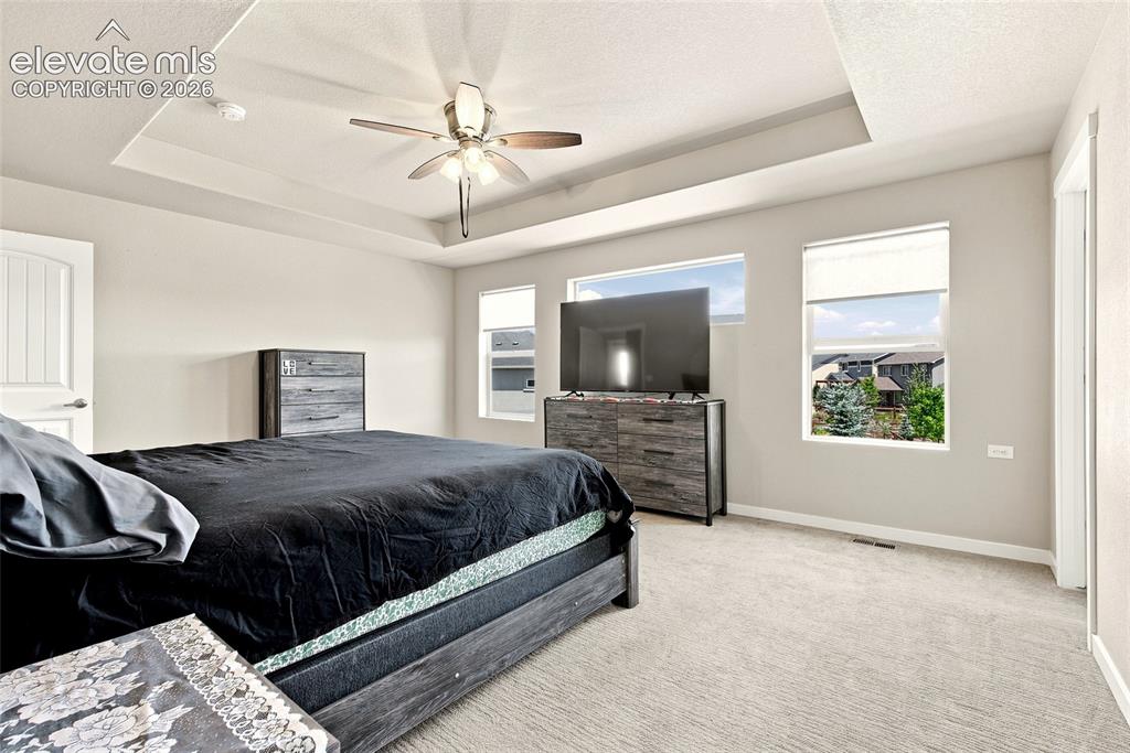 2382 Pelican Bay Drive Monument CO 80132